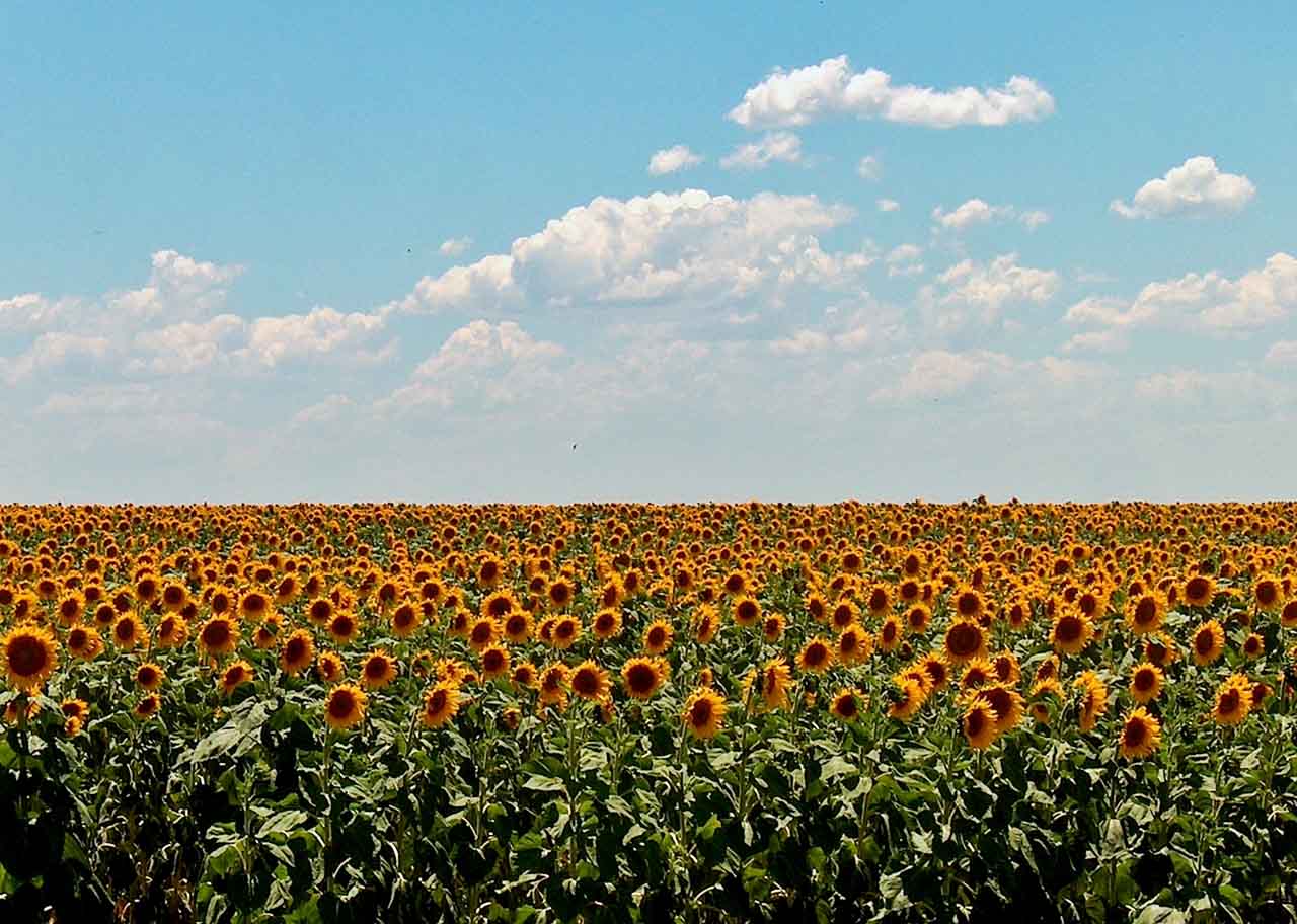 AWS S3가 파일 시스템이 된다 — S3 Files가 바꾸는 클라우드 스토리지의 판도