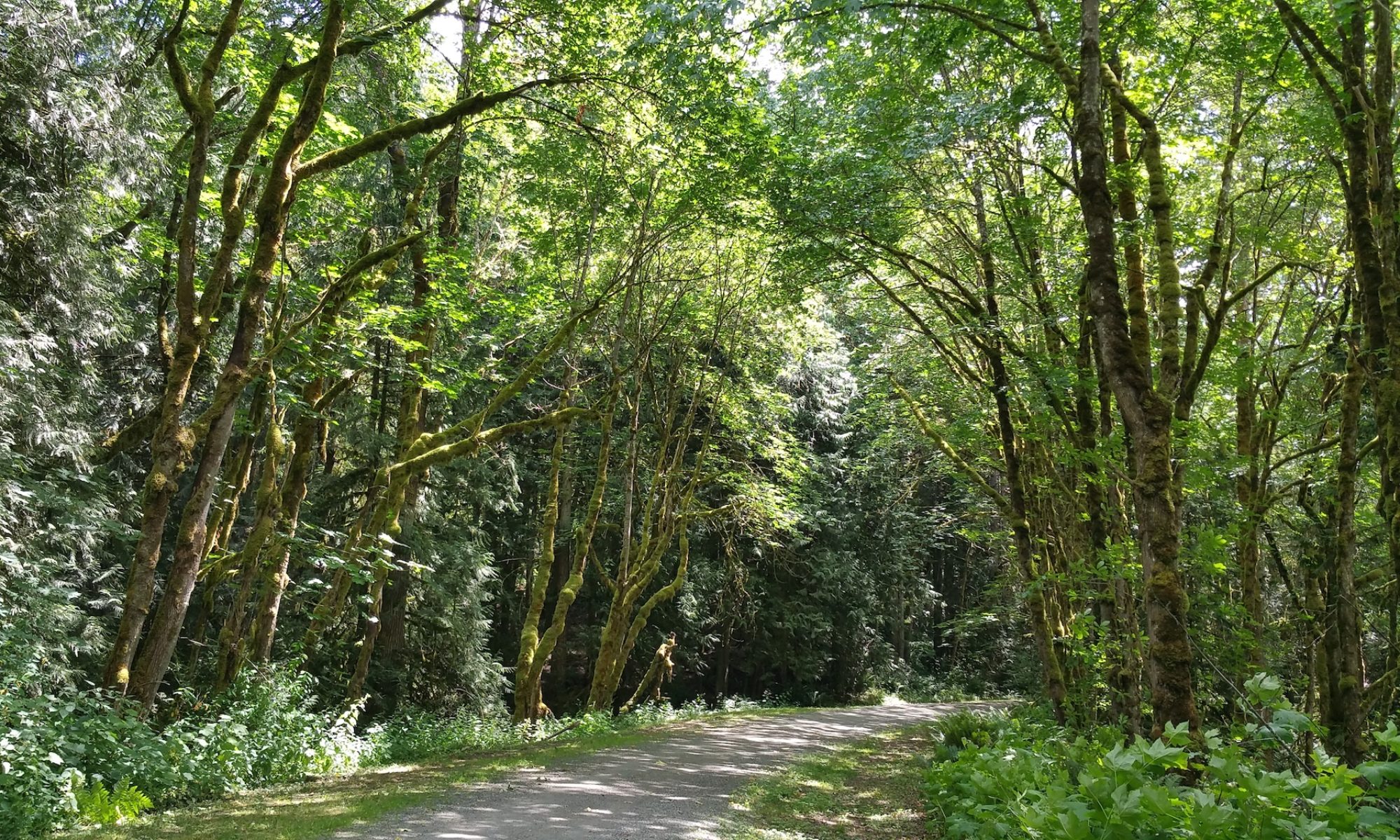 리눅스 서버를 라우터로 바꾸려면 뭘 설정해야 할까? 생각보다 손댈 게 많아요