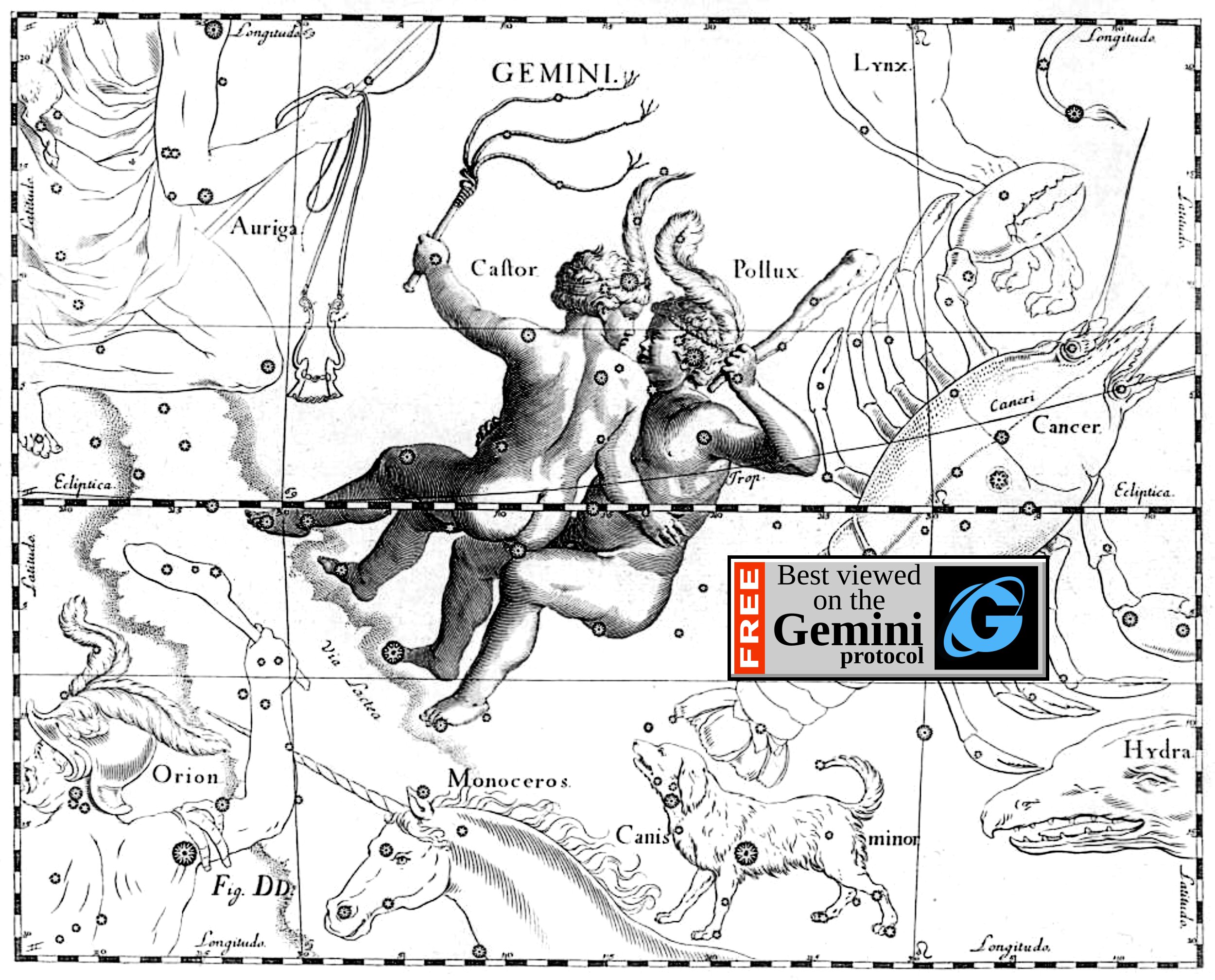 HTTPS 말고 다른 인터넷이 있다고? Gemini, Gopher, Finger 프로토콜 이야기