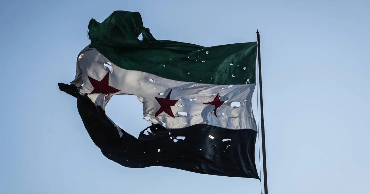 Zig로 C 컴파일러 만들기 - 시스템 프로그래밍의 재미를 다시 느껴보세요