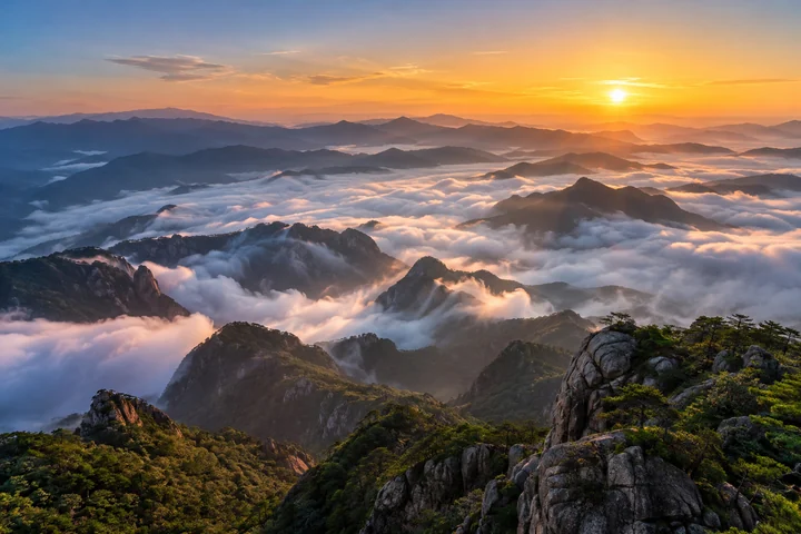 운해 위로 솟은 산봉우리 — 안개와 산 능선 견본