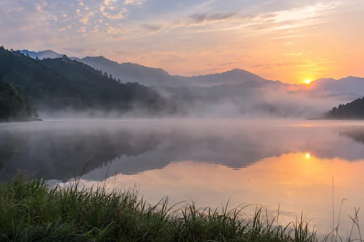 새벽 호수와 안개 — 실사 자연 풍경 견본